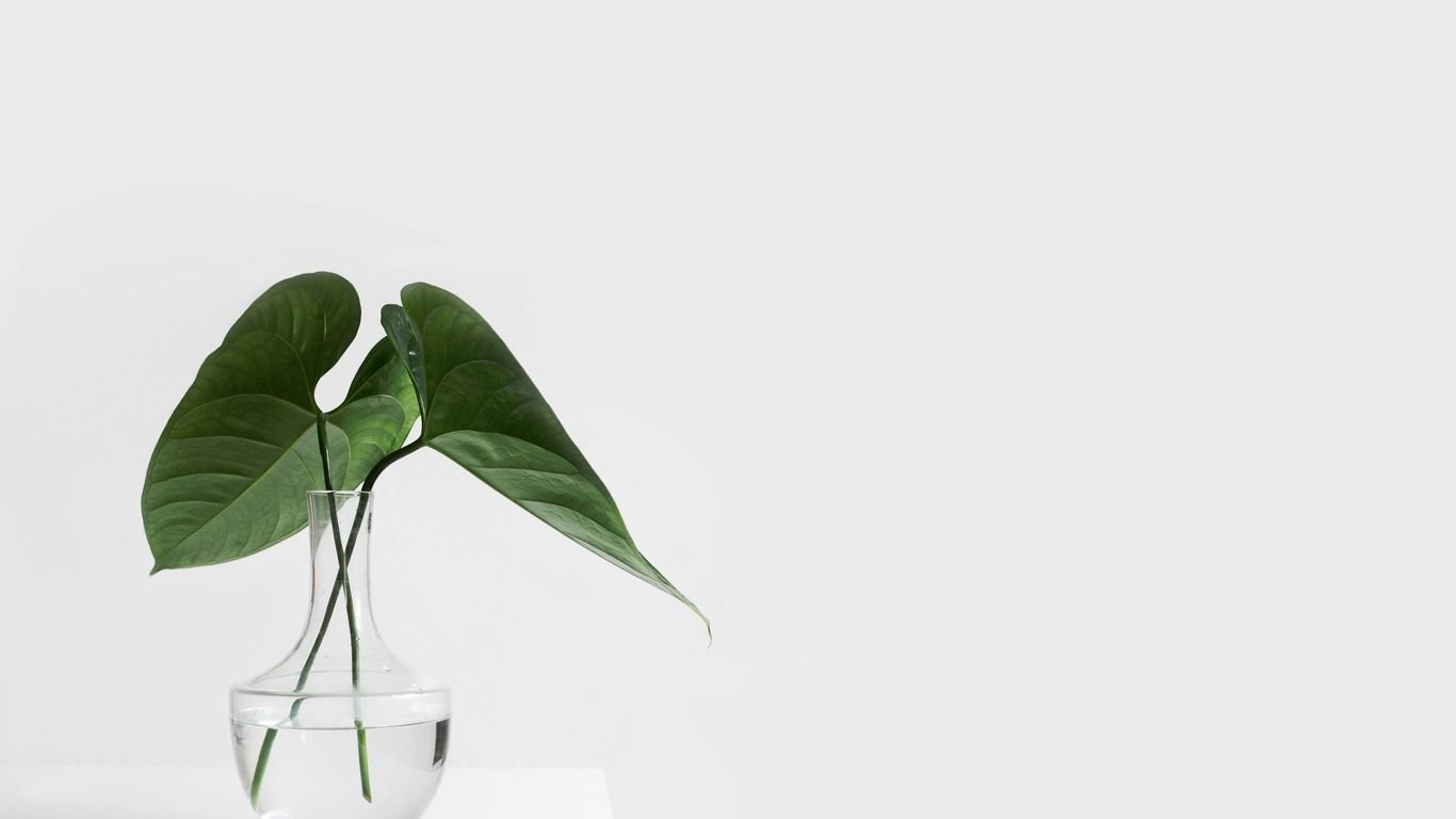 How to interpret and create your first break even analysis graph for small business growth